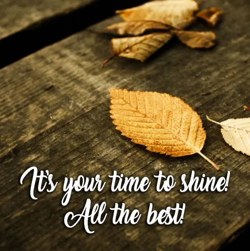 All The Best Greetings Greeting Cards 44598