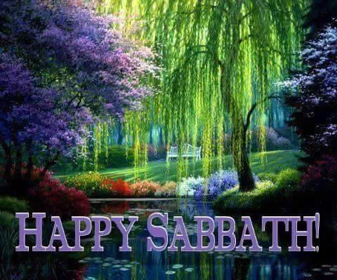 Shabbat Shalom Greeting Cards 50948