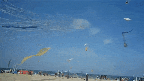 Makar Sankranti Greeting Cards 100539