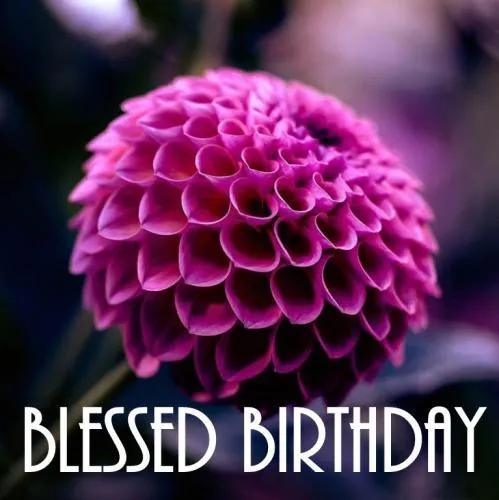 Birthday Greetings Greeting Cards 3321