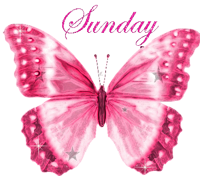 Sunday Greetings Greeting Cards 10412