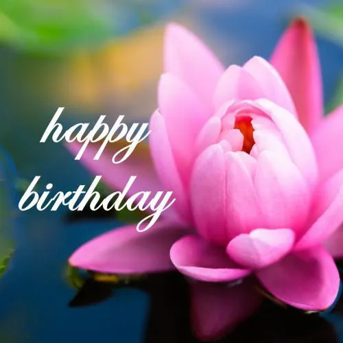 Birthday Greetings Greeting Cards 3318