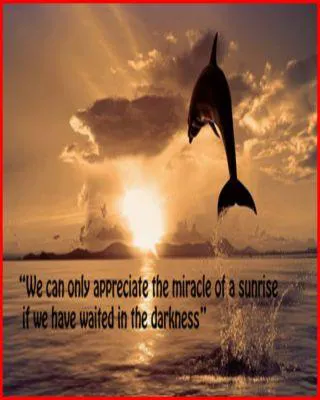 Good Morning Wishes Greeting Cards 6598