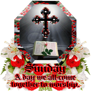 Sunday Greetings Greeting Cards 10233