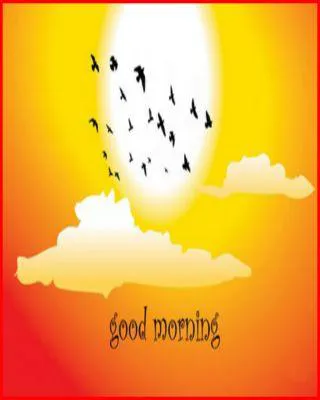 Good Morning Wishes Greeting Cards 6596