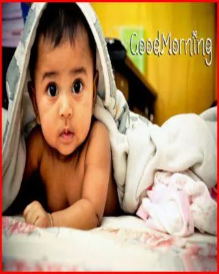 Good Morning Wishes Greeting Cards 6595