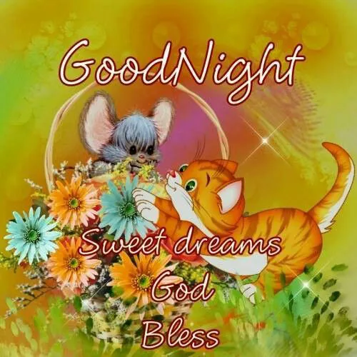 Good Night Greetings Greeting Cards 25808