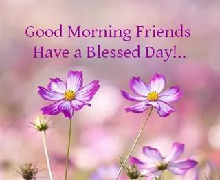 Good Morning Wishes Greeting Cards 6602