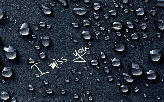 I Miss You Greetings Greeting Cards 13406