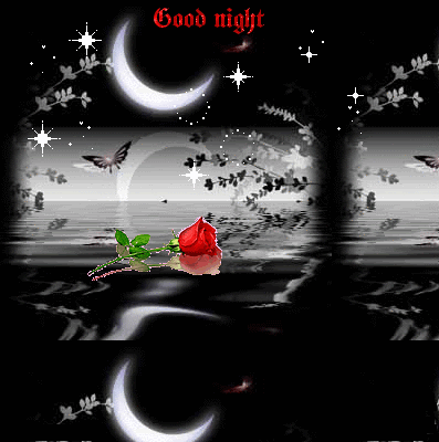 Good Night Greetings Greeting Cards 9241