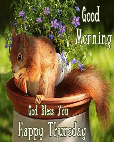Everyday Greetings Greeting Cards 24990