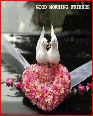 Good Morning Wishes Greeting Cards 6625
