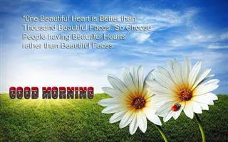 Good Morning Wishes Greeting Cards 6601