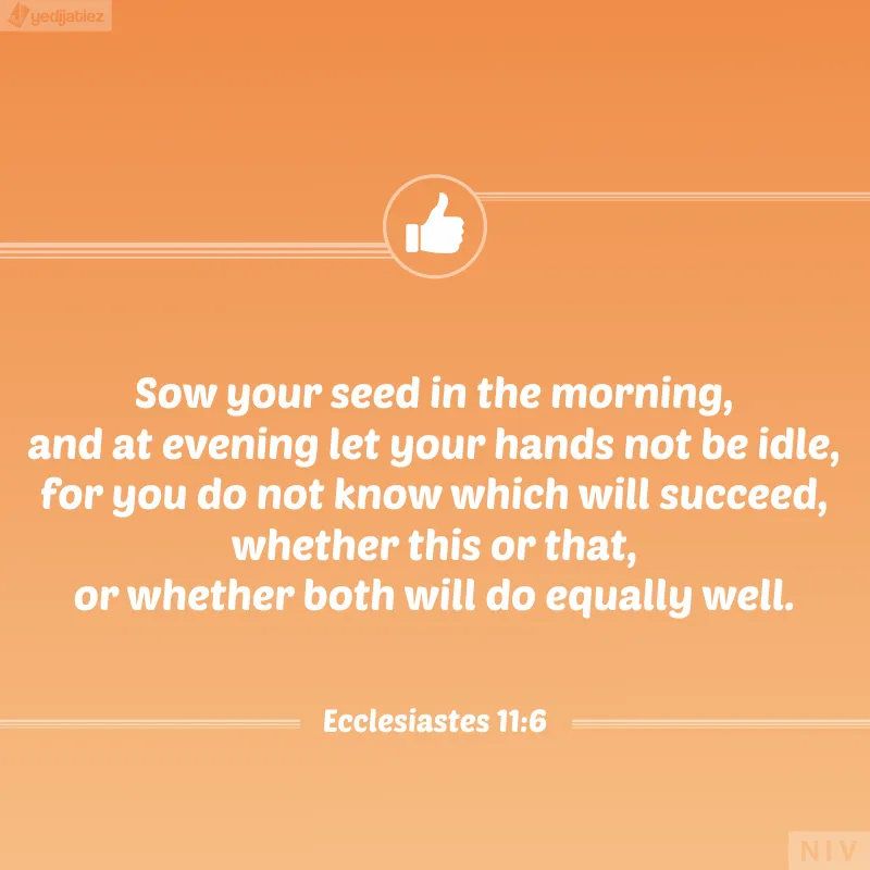Bible Verses Greetings Greeting Cards 22483