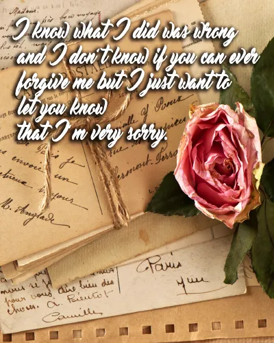 I Am Sorry Greetings Greeting Cards 52056