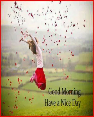 Good Morning Wishes Greeting Cards 6678