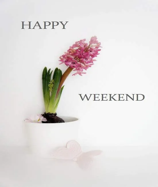 Sunday Greetings Greeting Cards 10105