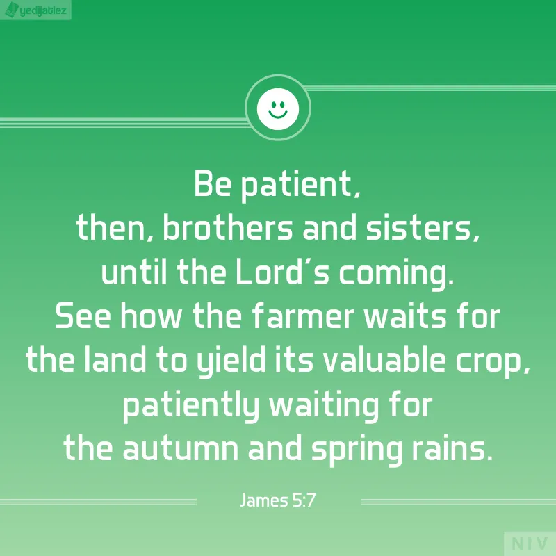 Bible Verses Greetings Greeting Cards 22612