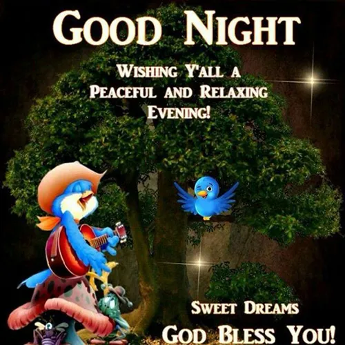 Good Night Greetings Greeting Cards 25845