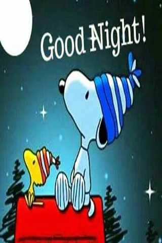 Good Night Greetings Greeting Cards 25898
