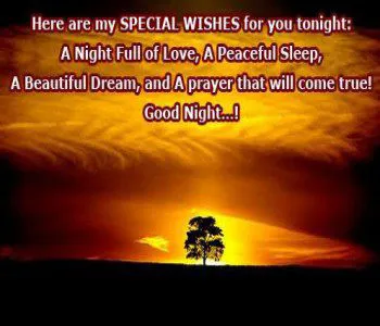 Good Night Greetings Greeting Cards 9559