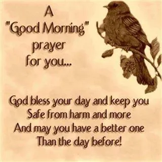 Good Morning Wishes Greeting Cards 6729