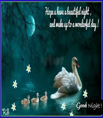 Good Night Greetings Greeting Cards 26052