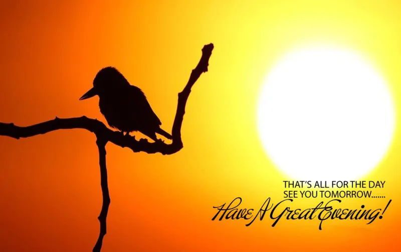 Good Evening Greetings Greeting Cards 8931