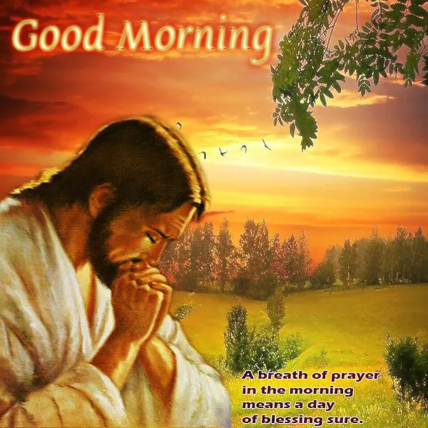 Bible Verses Greetings Greeting Cards 19178