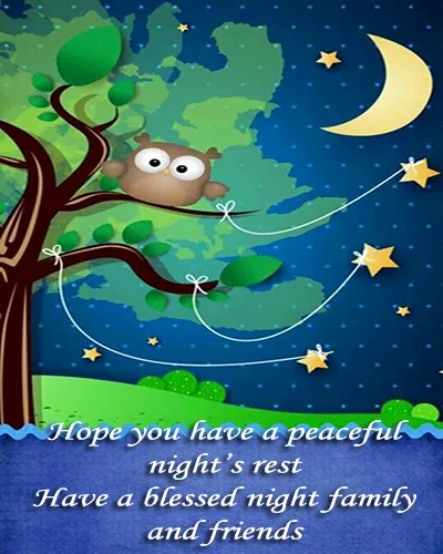 Good Night Greetings Greeting Cards 25991