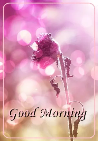 Saturday Greetings Greeting Cards 15300