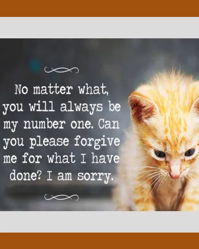 I Am Sorry Greetings Greeting Cards 52053