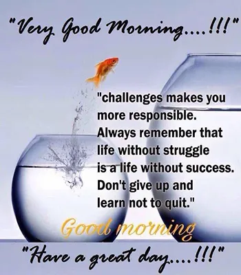 Good Morning Wishes Greeting Cards 25496
