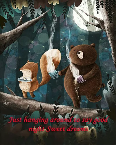 Good Night Greetings Greeting Cards 26013