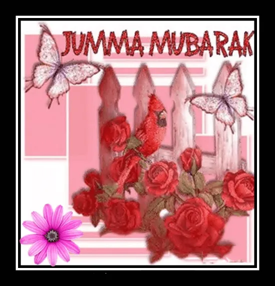 Jumma Mubarak Greetings Greeting Cards 17572
