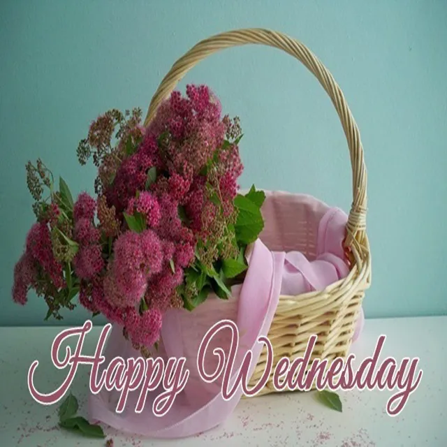 Everyday Greetings Greeting Cards 14514