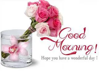 Good Morning Wishes Greeting Cards 6731