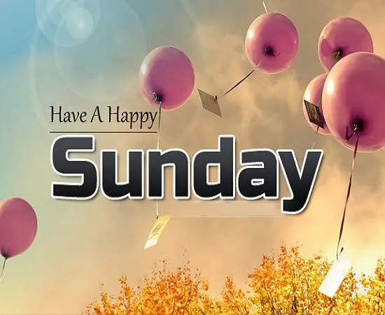 Sunday Greetings Greeting Cards 10065