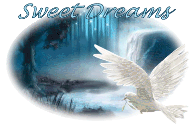 Good Night Greetings Greeting Cards 9245