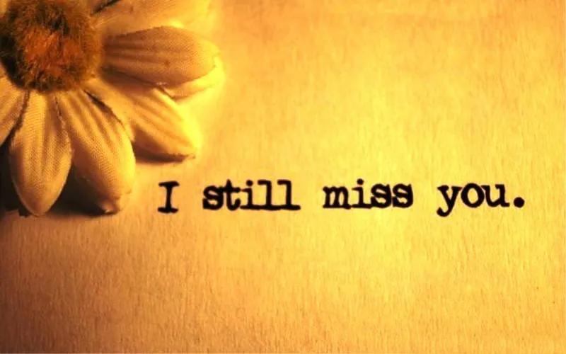 I Miss You Greetings Greeting Cards 13440