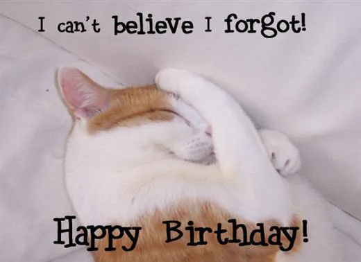 Birthday Greetings Greeting Cards 3940
