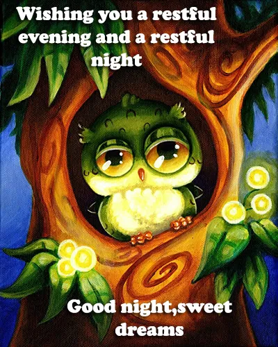 Good Night Greetings Greeting Cards 26022