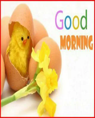 Good Morning Wishes Greeting Cards 6608