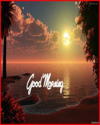 Good Morning Wishes Greeting Cards 6621