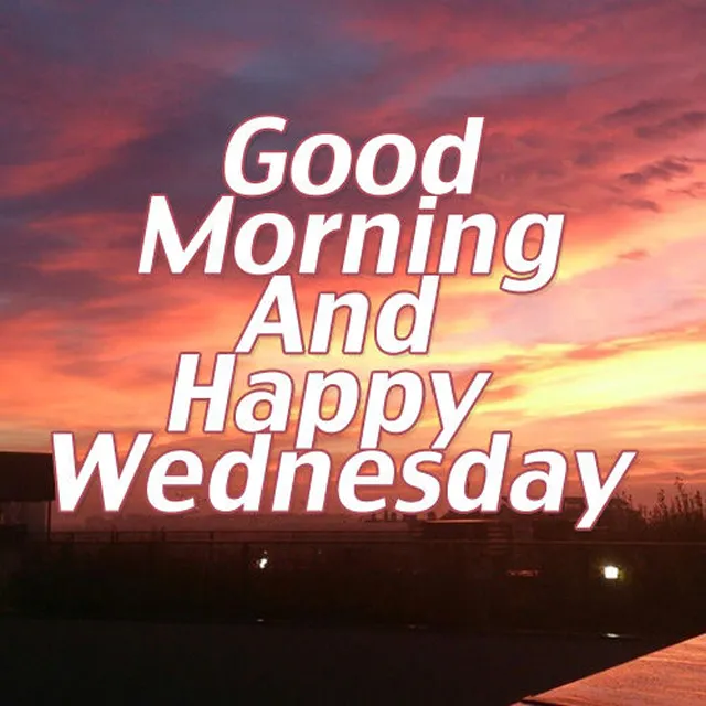Everyday Greetings Greeting Cards 14510