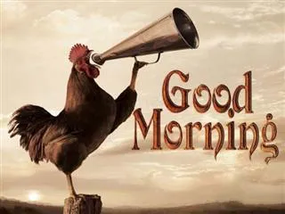 Good Morning Wishes Greeting Cards 6745