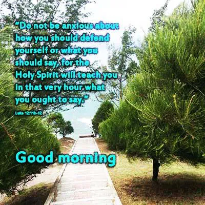 Good Morning Wishes Greeting Cards 7308