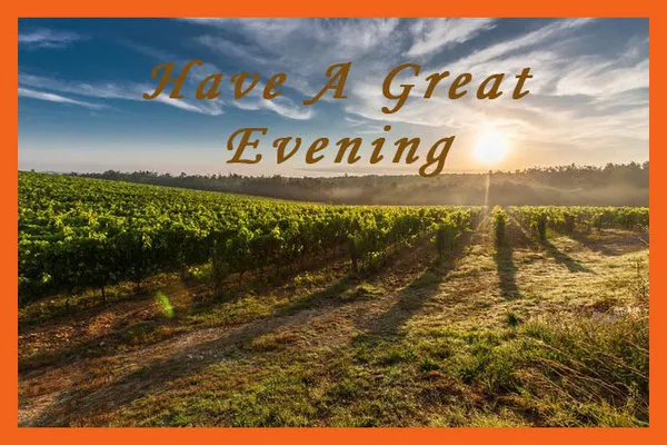 Good Evening Greetings Greeting Cards 8872