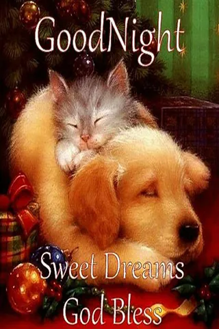 Good Night Greetings Greeting Cards 25901