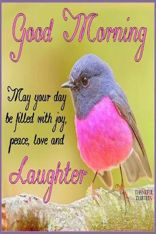 Good Morning Wishes Greeting Cards 25579